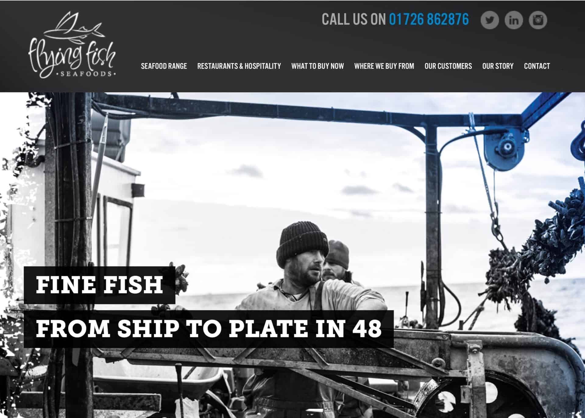 wordpress web design flying fish home 1b